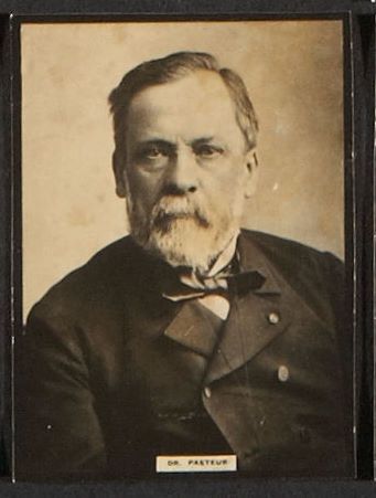 Dr Pasteur